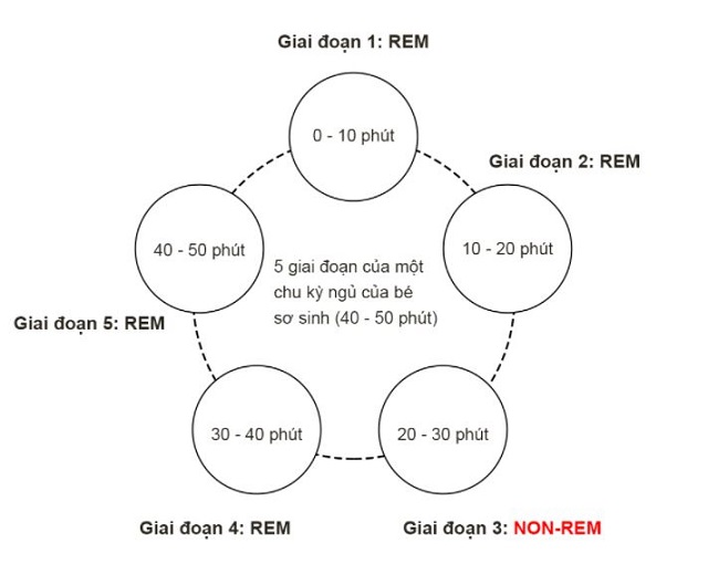 Giấc ngủ ở trẻ sơ sinh 2