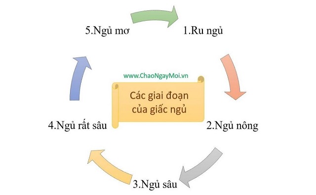 ngủ ít vẫn khỏe 2